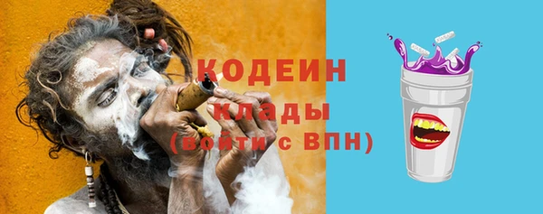 прущие грибы Мегион