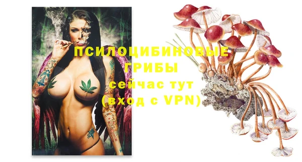 прущий лед Медногорск