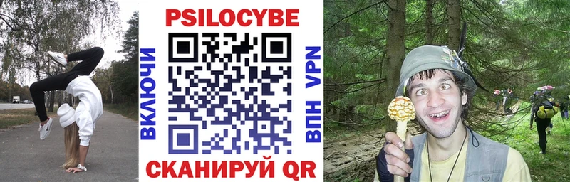 Купить закладки  Бердск  Галлюциногенные грибы GOLDEN TEACHER 